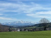 22.03.2023 6 Wanderung Thurgauer Panoramaweg